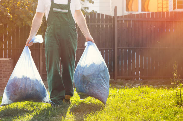Best Electronics Removal Services  in Mount Holly Springs, PA
